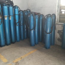  山东省莘县九州微型泵厂 主营 微型深井泵